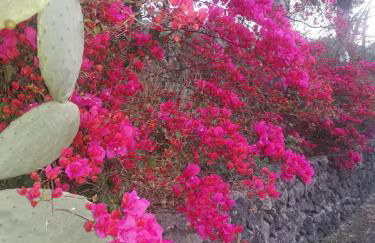 La Fattoria Dei Nonni - Foto 56