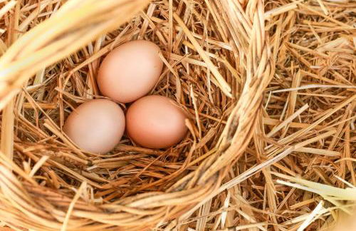 Azienda Agrituristica Il Pago - Foto 29