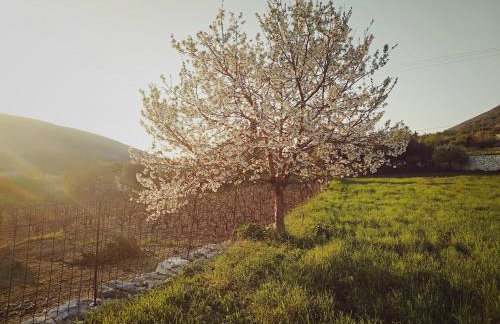 Cephalonian Countryside Villa - Foto 59