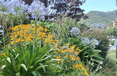 La casa al lago in centro storico - Foto 59