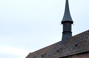 Les Suites Du Cygne - Foto 64