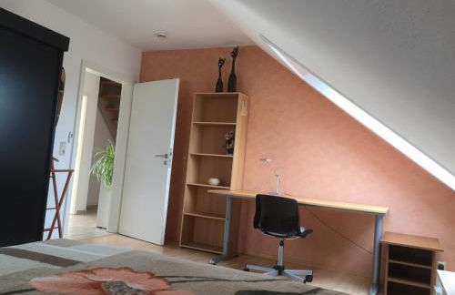 Sonnenschein - Foto 20