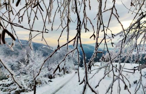 Agroturystyka Faron - Foto 35