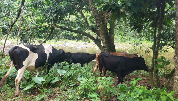 La Jalda Waterfall Day Trip - Foto 4