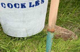 Panoramic Lookout, Davaar Island - Foto 44