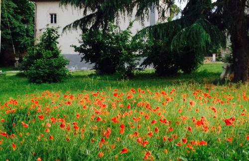 Appartamenti Lais in Sipicciano - Foto 33
