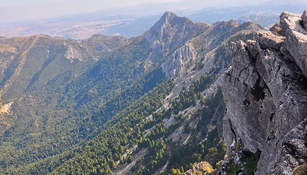 White Villages of Andalusia Tour and Ronda - Photo 4