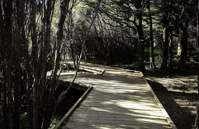 Night Sky Cottage - Foto 21