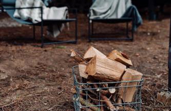 Na skraju gaju - Foto 16