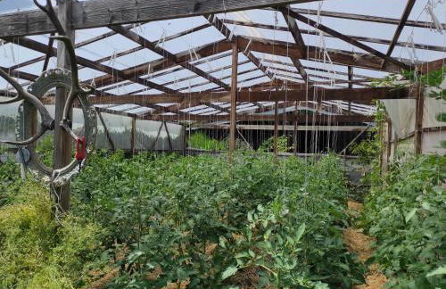 Studio Nature & Calme, Lac et Forêt à Pied - Foto 22