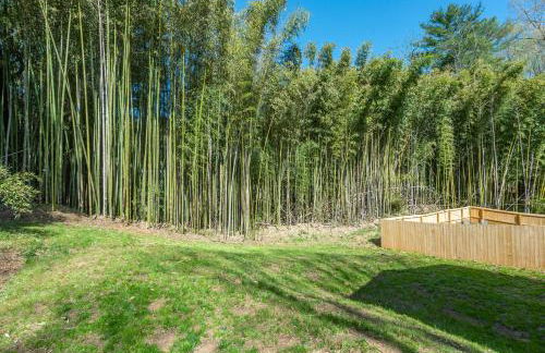 Blue Heron Bungalow 5 Min to Downtown Black Mtn - Foto 31