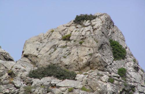 Villa Olga - Foto 70