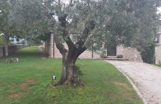 Antico Borgo di Vallignano - Foto 9