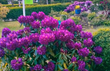 Ferienwohnung im schönen Holsteiner Auenland - Foto 37