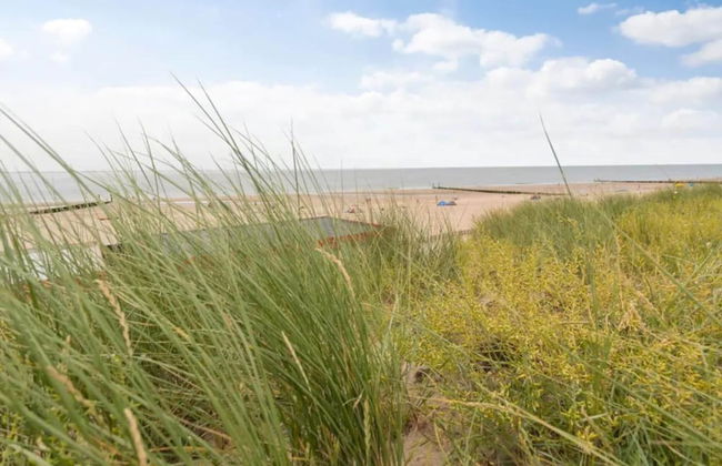 Modern Stay Near the Beach - Photo 28