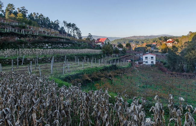 Casa da Cevidade - Foto 56