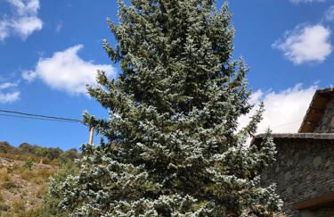 Casa Marian Villanua - Photo 48