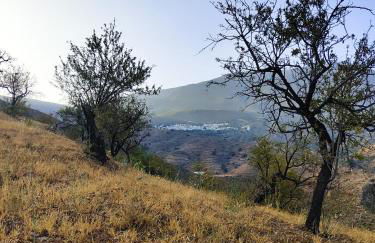 Cortijo Vacas Gordas Villas - Foto 44