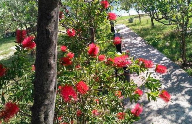 Your Perfect Adriatic Getaway - Photo 10