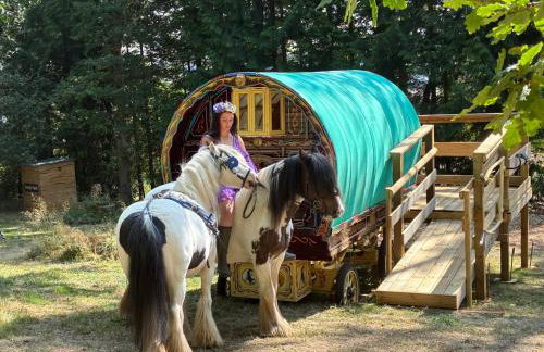 2 Guests - Pet Friendly - Traditional Gypsy Vardo - Foto 1