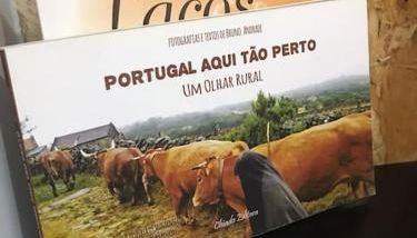 Rústico T1 no centro cidade - Foto 4