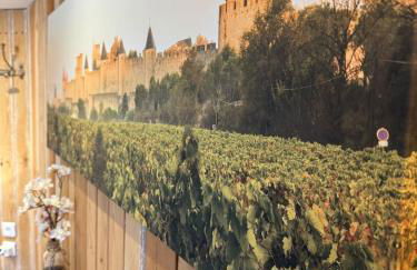 La maison Auguste - vue imprenable sur la Cité - Foto 12