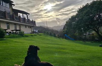 Complejo Rural Las Mimosas del Nalon - Foto 16