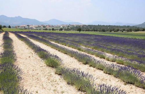 El Calar - Casas Rurales Luis - Foto 22