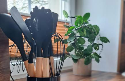 Landhaus Seemann Ferienwohnungen im Grünen - Foto 5