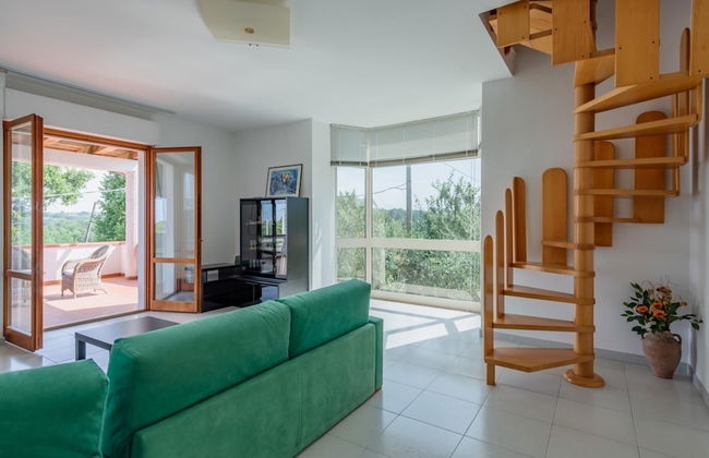 La Finestra Sugli Ulivi - Foto 12