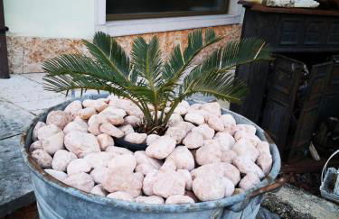 Apartment Sweet Retreat - Photo 24