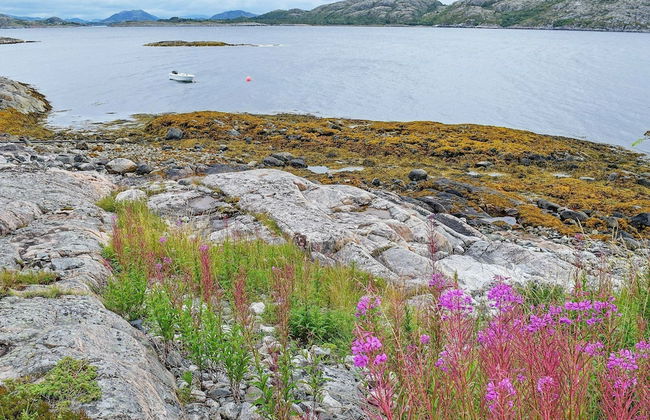 Holiday Home in Rørvik - Photo 35