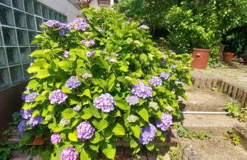 Fewo Rehblick im Wander und Mountainbike Paradies Odenwald - Photo 45