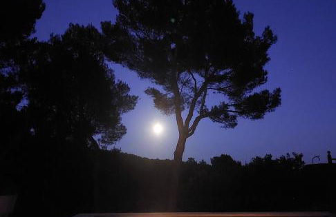 La maison du Barroux avec vue, calme et piscine - Foto 38