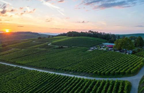 Holiday Apartment Monet in Oberrotweil - Foto 46