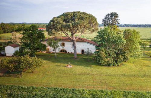 Le Mazage des Trégans - Foto 32