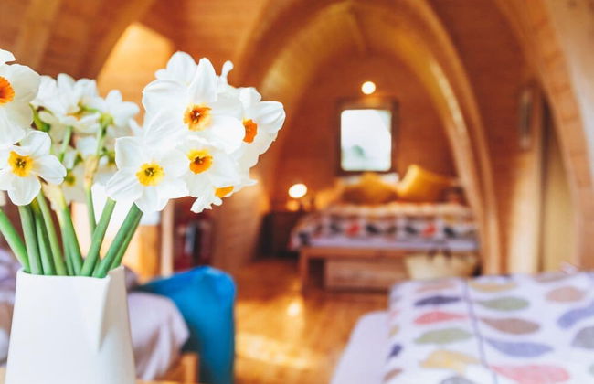 Trecombe Lakes - Foto 24