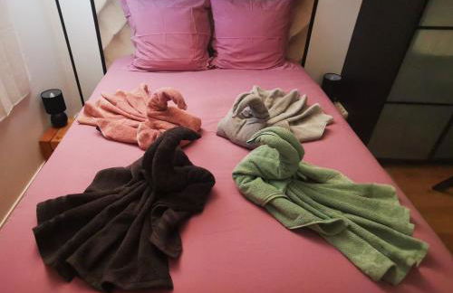 Appartement chaleureux proche Disney 44m2 pour 4 pers classé 3 étoiles - Foto 8