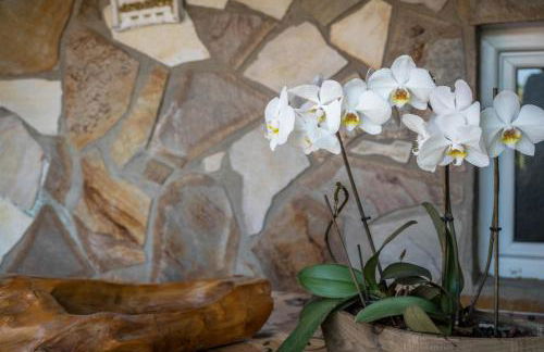 Ferienwohnung Insel Reichenau - Foto 8