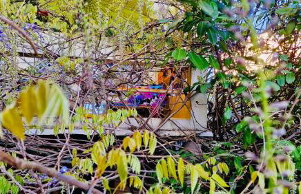 Green house, cosy garden Paris - Foto 29