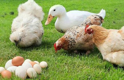 The Studio with Terrace and EV point - Photo 27