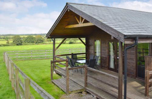 Dartmoor - Uk12537 - Foto 14