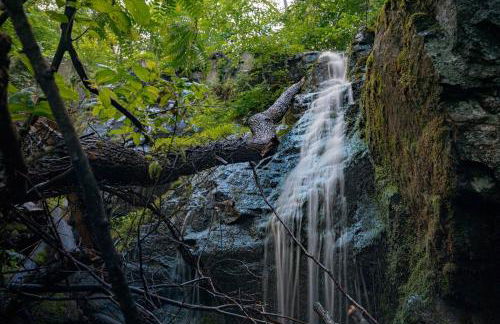 Ridgeview Cabin Views Hot Tub Fireplace BBQ Pets - Foto 19