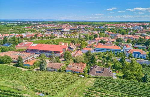 Weinbergnest - Foto 1