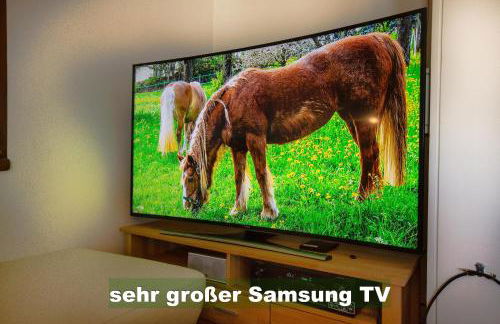 Wohlfühl-Ferienwohnung 80 qm, 8 Personen, Aussicht & Heimkino - Foto 26