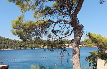 Studio apartment Dragana - Foto 14