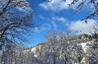 Appartamento immerso nel verde - Foto 13