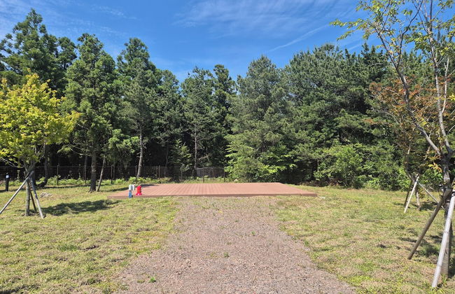 Kylin Villa Resort Jeju - Foto 13