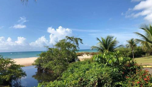 CASA DE PRAIA CORURIPE - LAGOA DO PAU - Foto 5