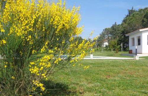 Agriturismo San Giuseppe - Foto 21
